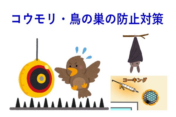 香川県高松市のコウモリ駆除 | 総合サービス猫の手